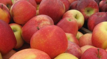 Apples